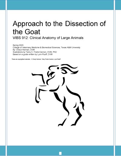 VIBS 912 GOAT Dissection Guide - Spring 2023 (B&amp;W)